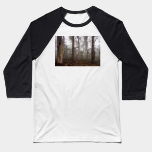 Eucalypt forest in fog, Victorian High Country, Australia Baseball T-Shirt